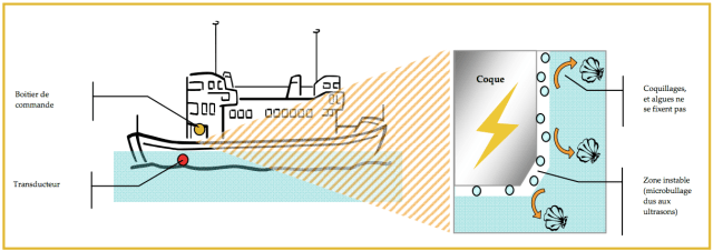 ultrason antifouling
